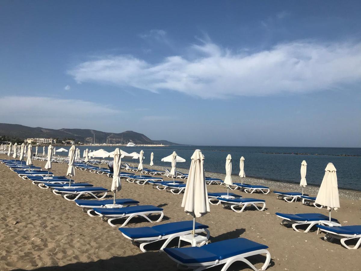Andromeda Beach House Polis Esterno foto