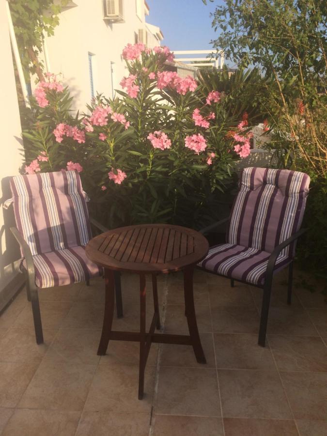 Andromeda Beach House Polis Esterno foto