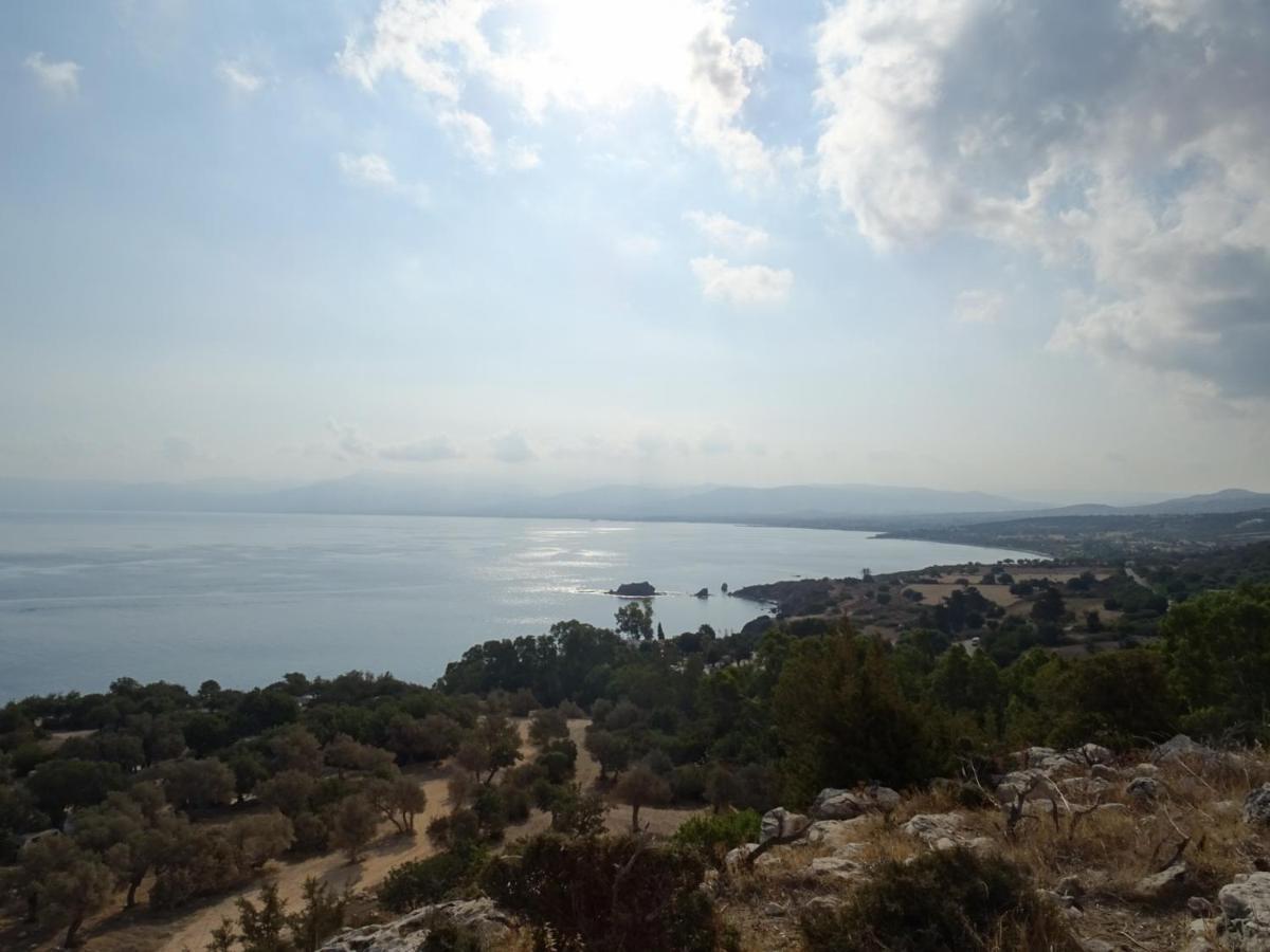 Andromeda Beach House Polis Esterno foto