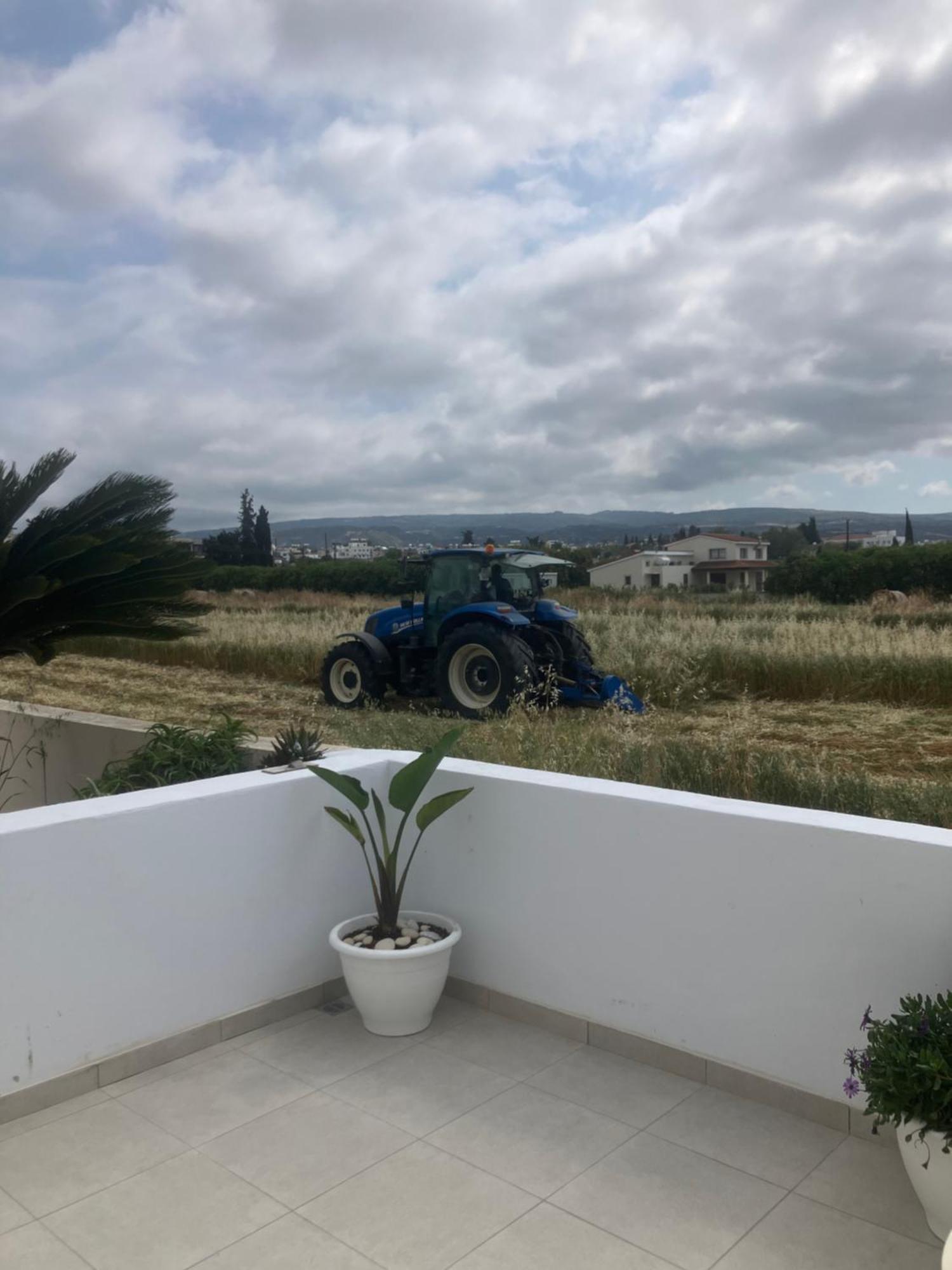 Andromeda Beach House Polis Esterno foto